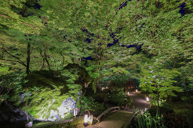 夜の獅子岩