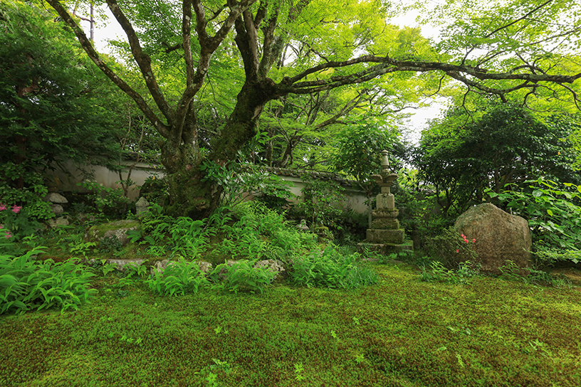 旧理覚院庭園