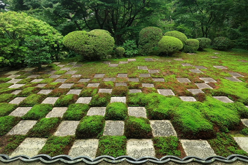 本坊庭園（北庭）
