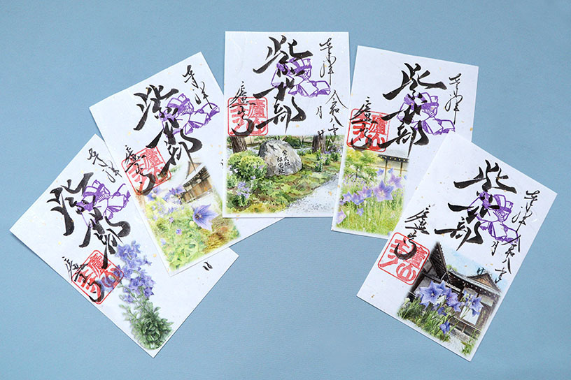 桔梗御朱印 各700円。9月中旬頃まで授与予定