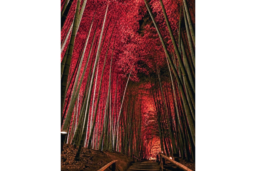 写真はイメージ