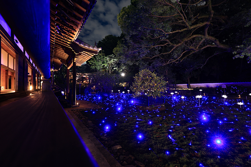 宸殿前の庭園
