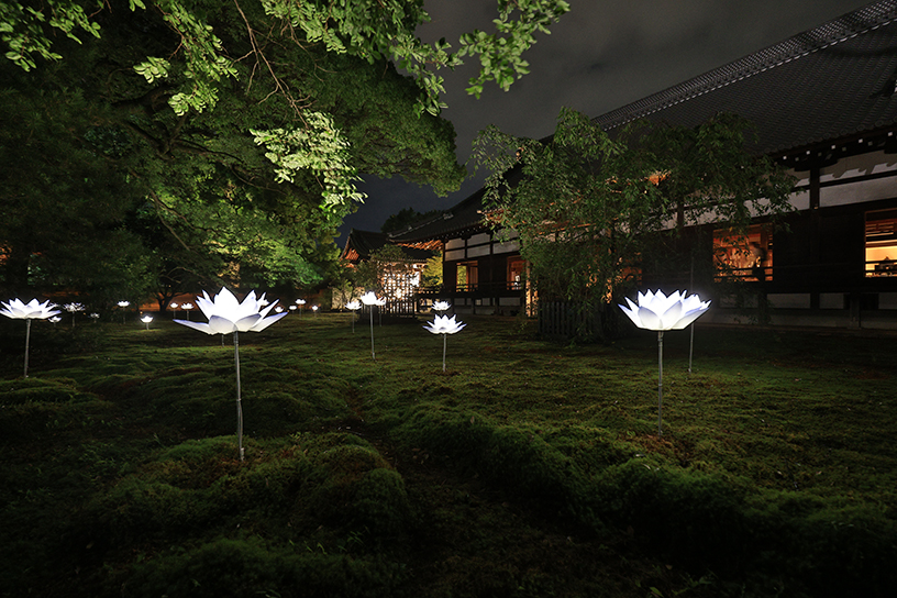 緑の苔庭ですが…