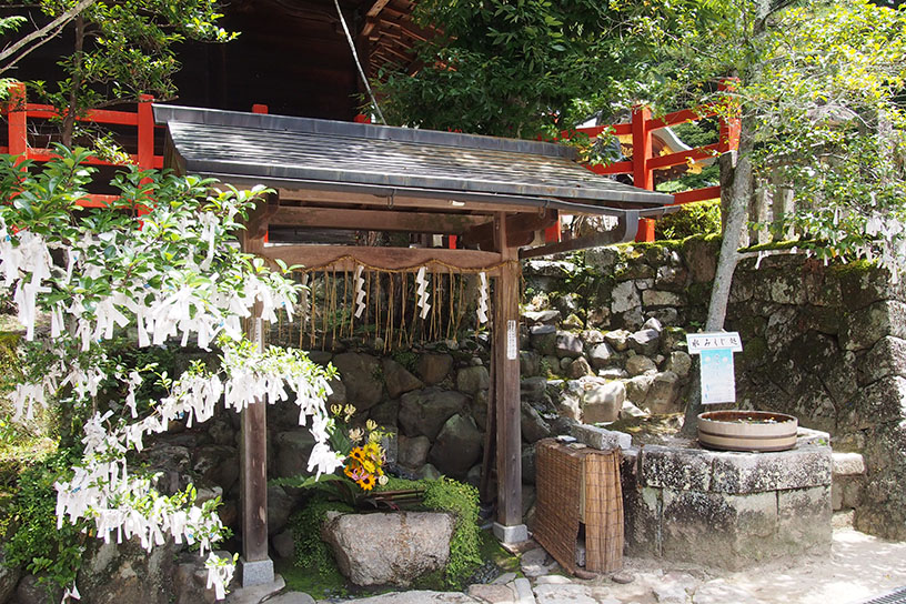 手水舎に向かって右側に八角形の石組があります