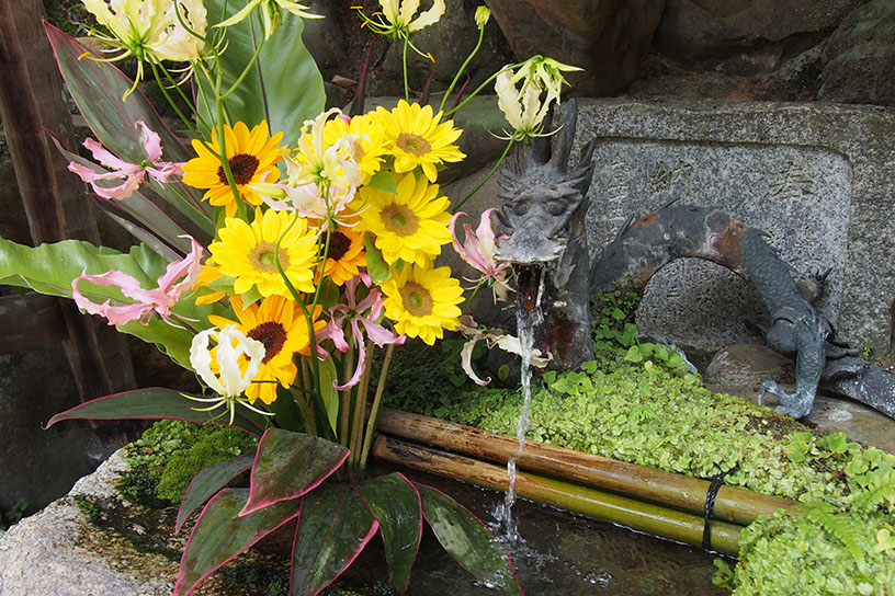 夏の花手水
