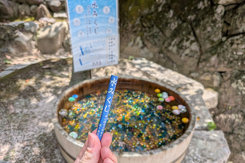 水みくじ 300円