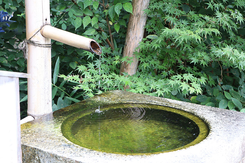 染井の水がしたたる手水鉢