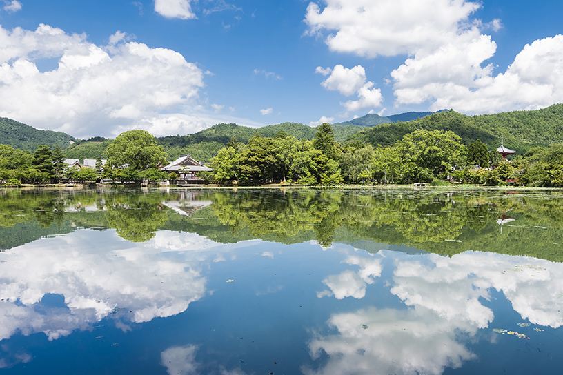 大沢池
