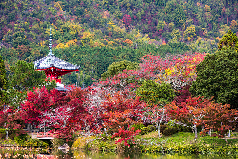 紅葉シーズンも美しい