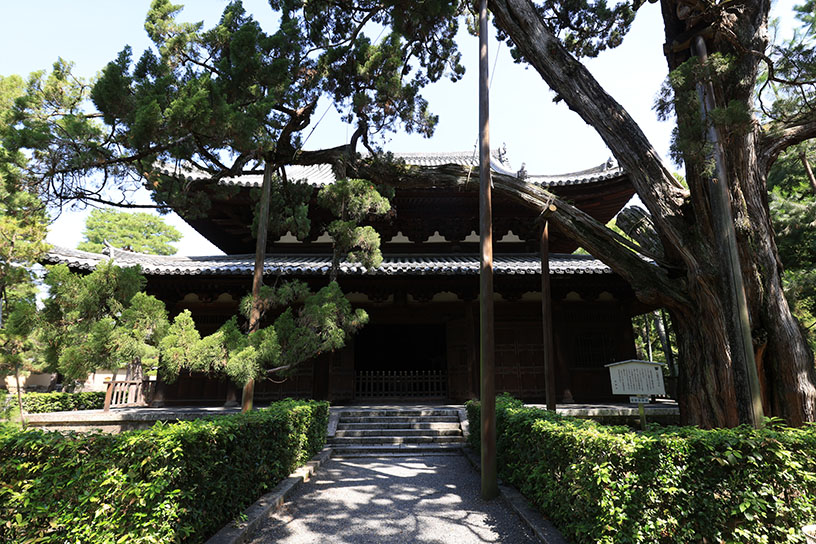 開創700年！ 大徳寺の見どころガイド｜そうだ 京都、行こう。