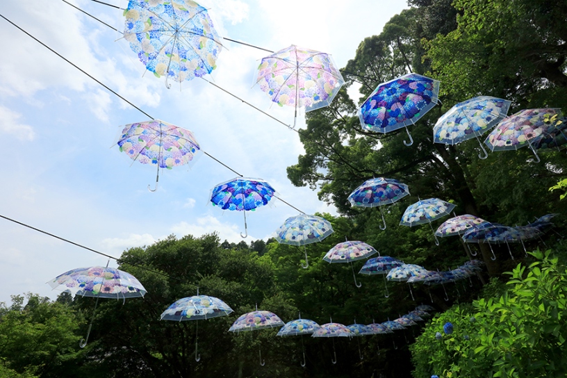 撮影日：2023年6月7日（水）
