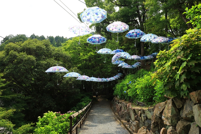 撮影日：2023年6月7日（水）