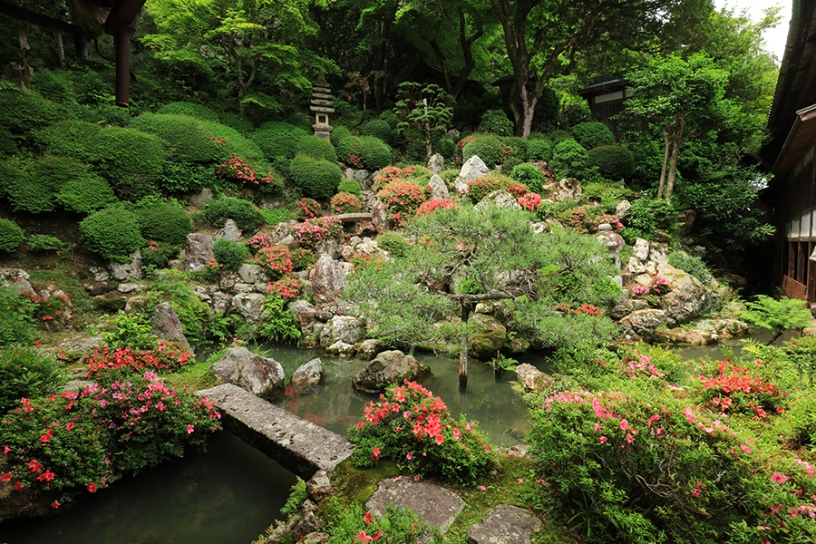 撮影日：2023年6月7日（水）