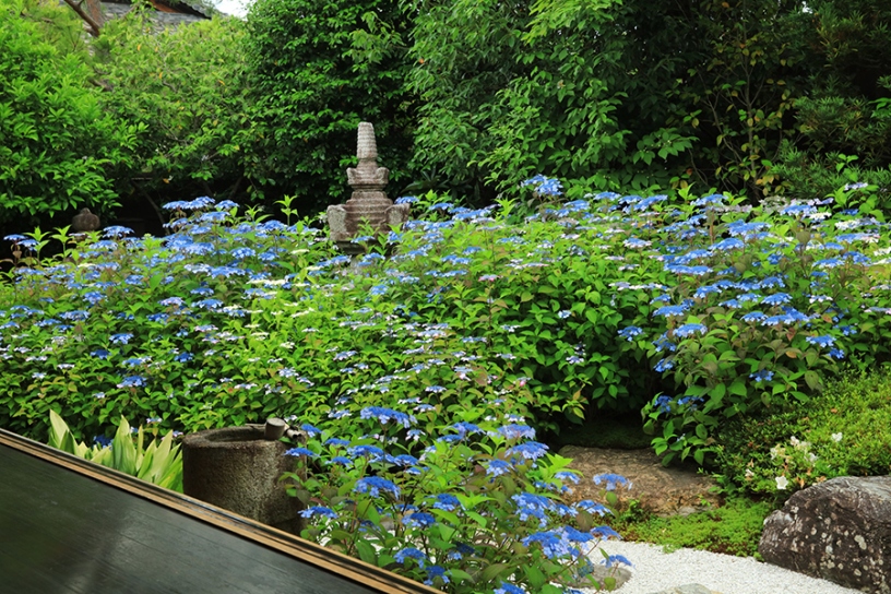 撮影日：2023年6月8日（木）