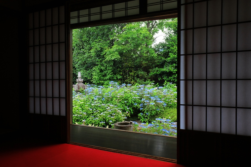 撮影日：2023年6月8日（木）