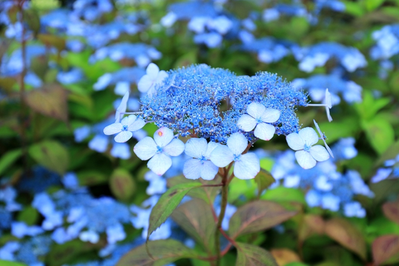 撮影日：2023年6月8日（木）
