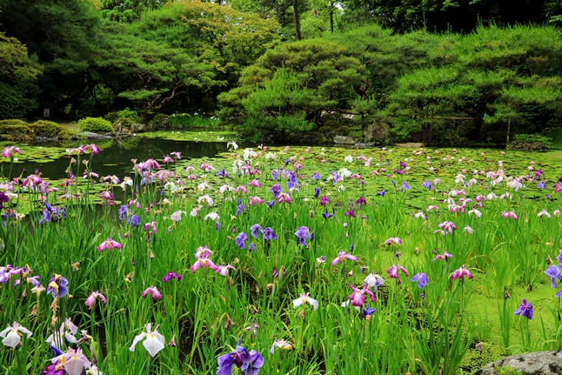 撮影日：2023年6月9日（金）