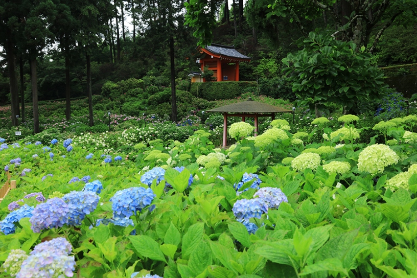 撮影日：2023年6月9日（金）