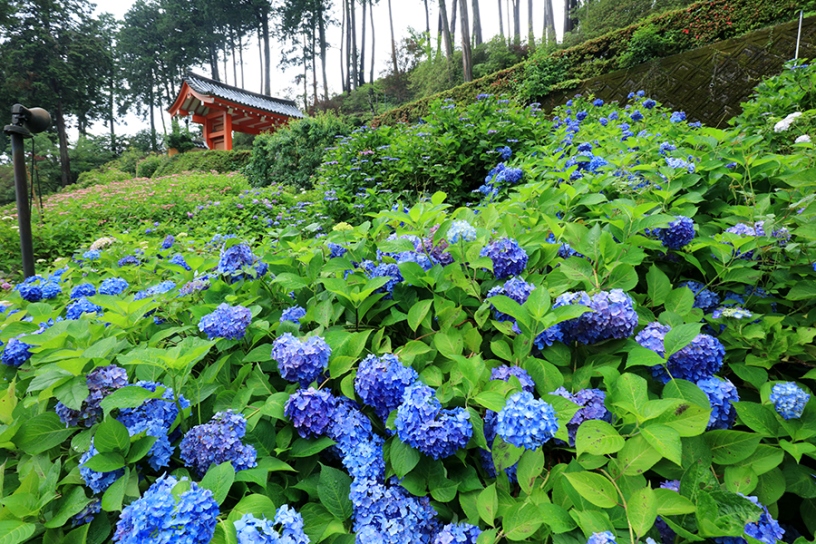 撮影日：2023年6月9日（金）