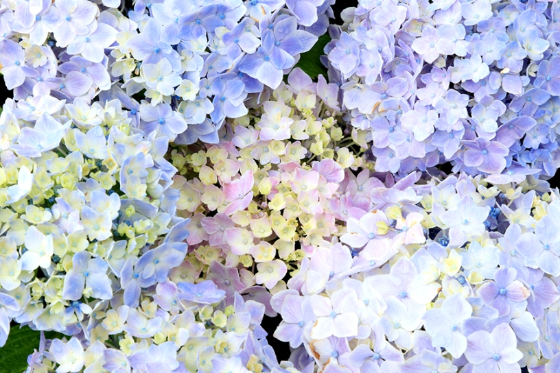 撮影日：2023年6月9日（金）