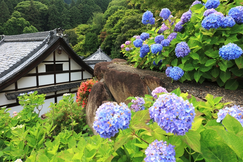 撮影日：2023年6月7日（水）