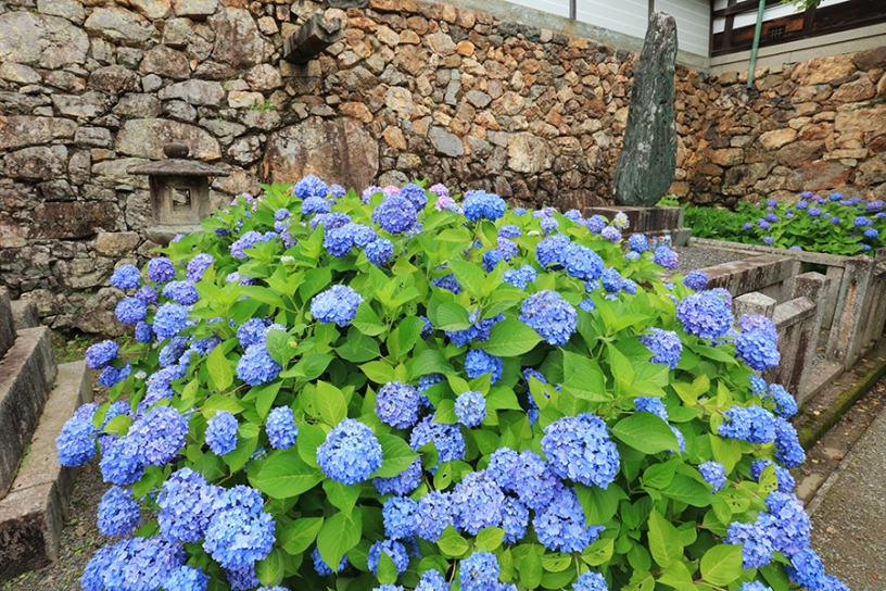撮影日：2023年6月7日（水）