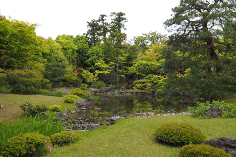 反対側には池が現れました。