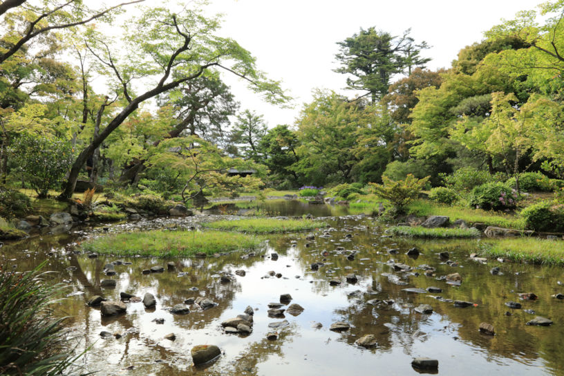 木々に包まれ、東山に入り込んだかのよう。