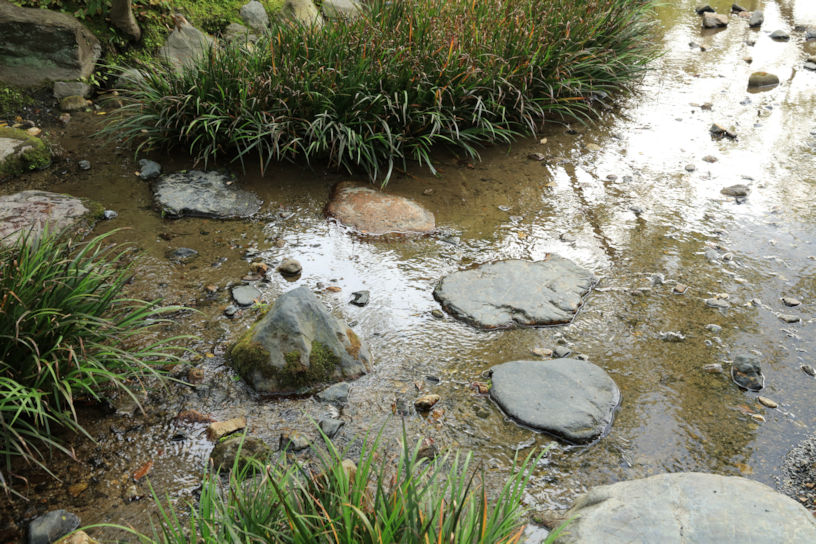 橋ではなく飛石で川を渡ることで、水に視線が行くようになっているそう。