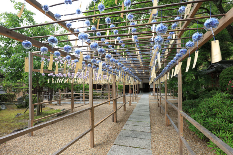 正寿院※6月のイメージです。7月上旬～8月はひまわり風鈴、9月～はコスモス風鈴となります。