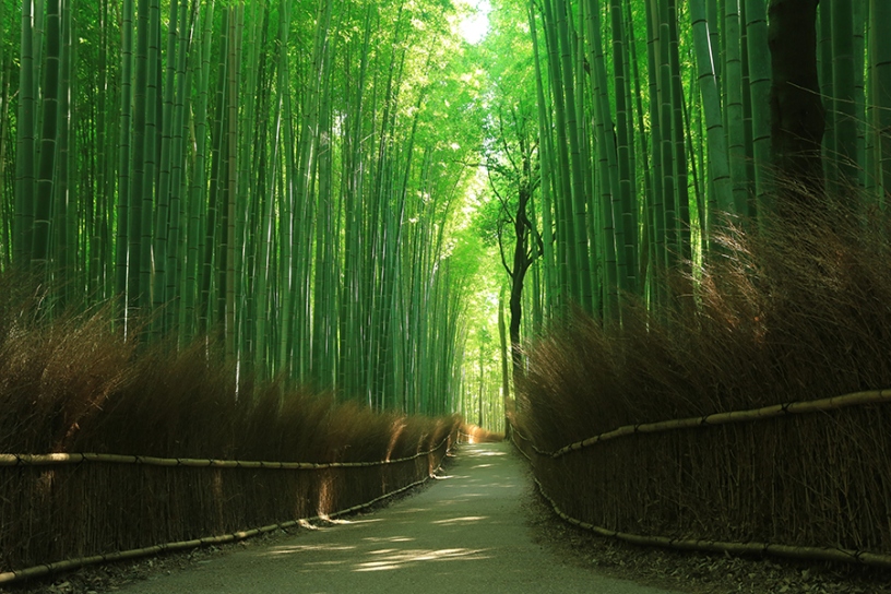 竹林の小径（嵐山）