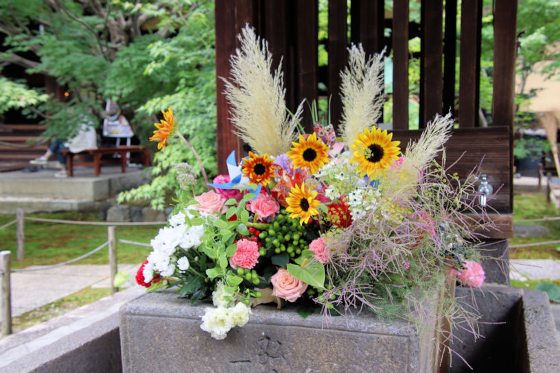 取材にお伺いした日の花手水