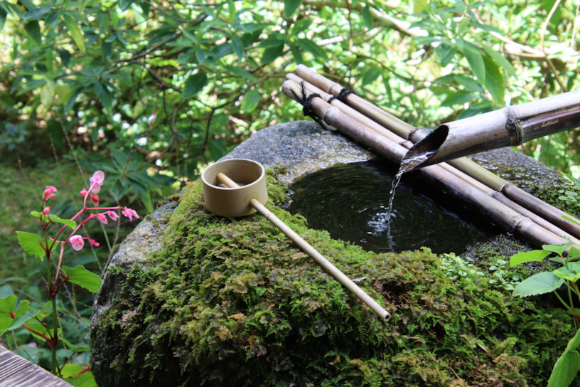 苔むした手水鉢。