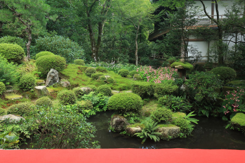 初秋はゆるり。お寺の“名庭”を眺めながら抹茶を｜そうだ 京都、行こう。