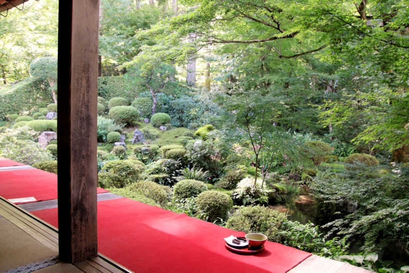 縁側に敷かれた赤い毛氈（もうせん）が、お茶席です。