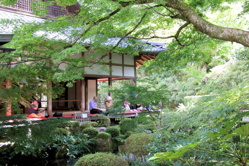 初秋はゆるり。お寺の“名庭”を眺めながら抹茶を｜そうだ 京都、行こう。