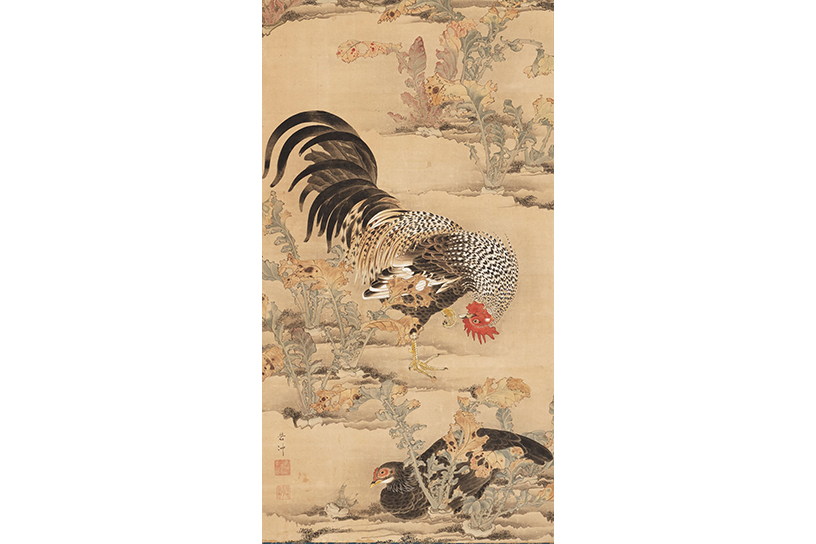 伊藤若冲「蕪に双鶏図」前期展示