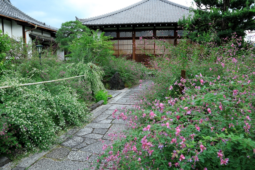 撮影日：2023年9月28日（木）