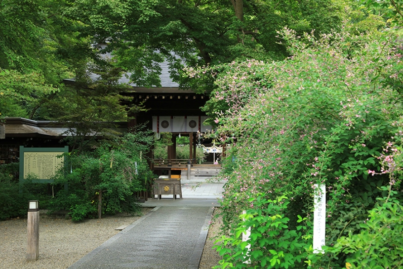 撮影日：2023年9月28日（木）
