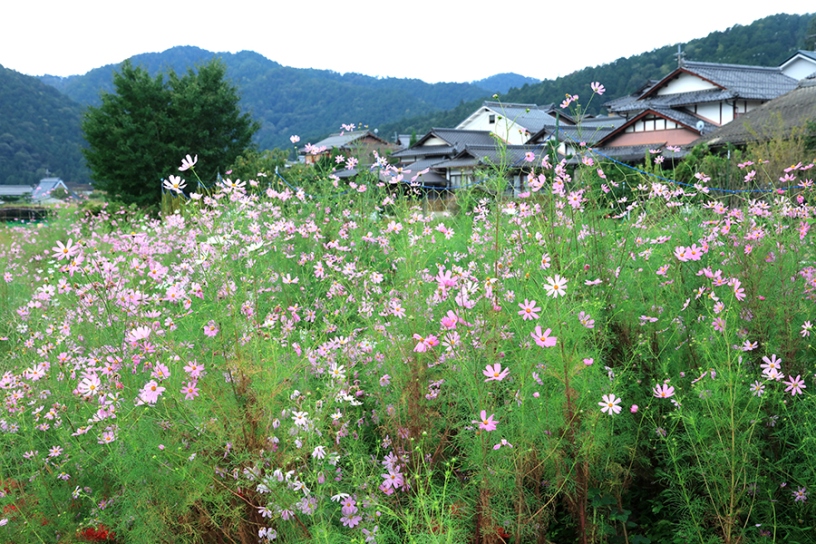 撮影日：2023年9月28日（木）