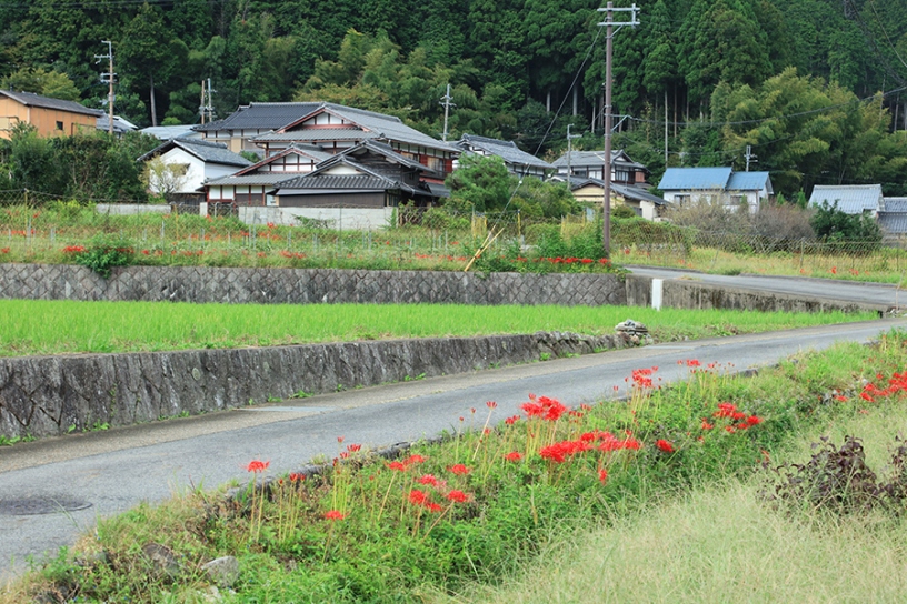 撮影日：2023年9月28日（木）