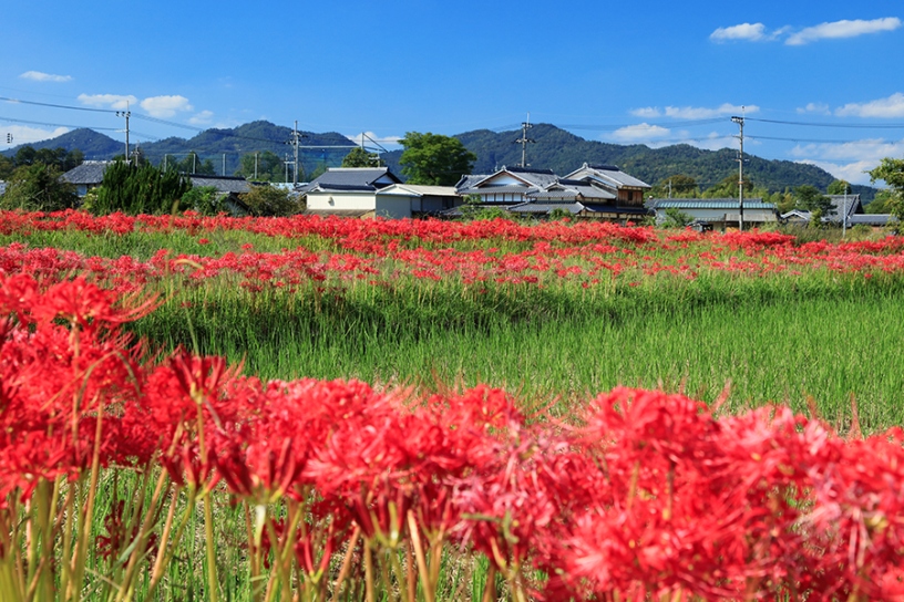 撮影日：2023年9月29日（金）