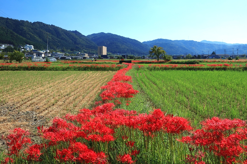 撮影日：2023年9月29日（金）