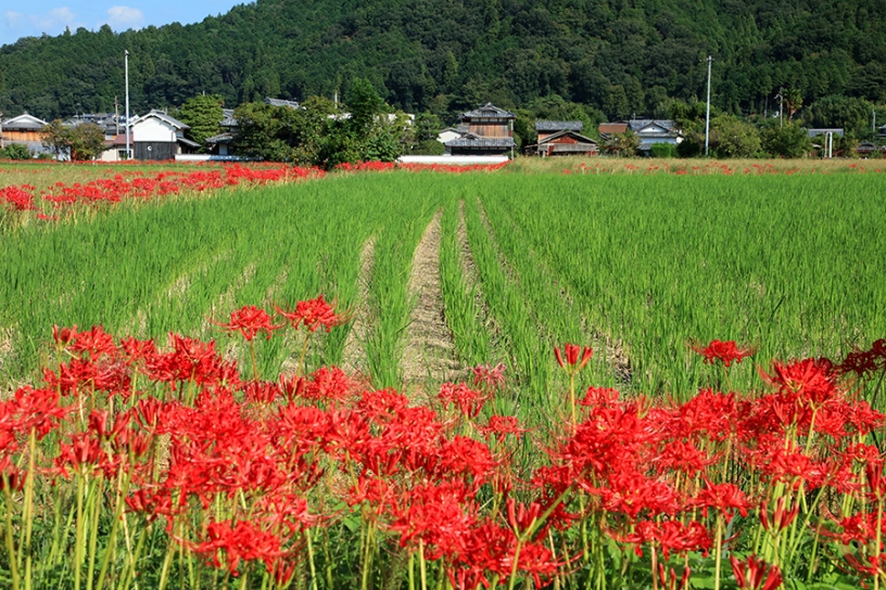 撮影日：2023年9月29日（金）