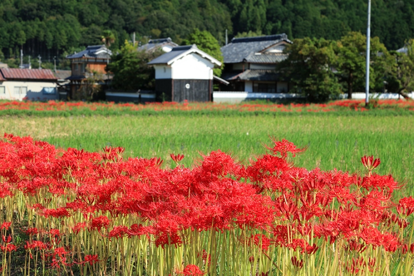 撮影日：2023年9月29日（金）