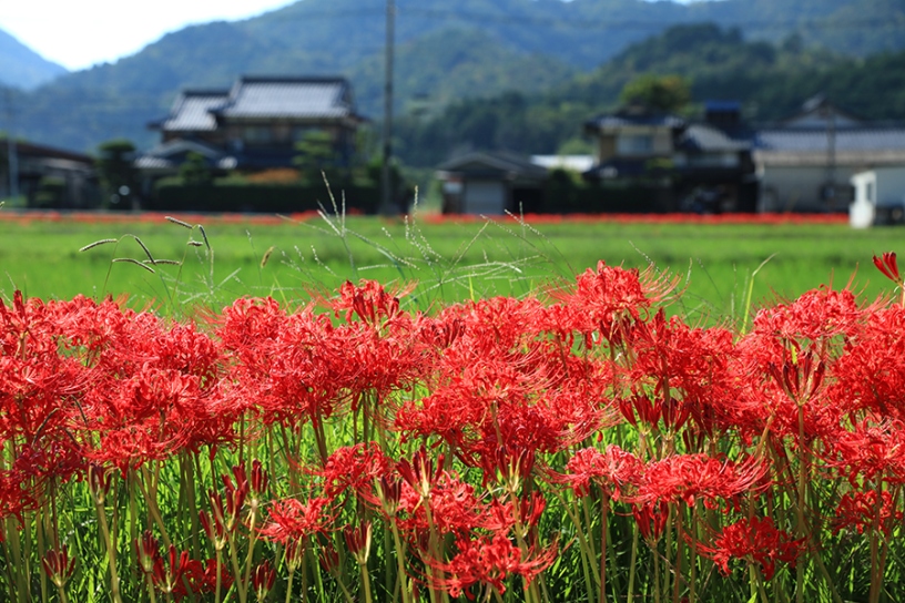 撮影日：2023年9月29日（金）