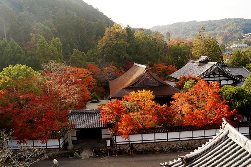 三門の横には天授庵が。秋は上から紅葉を眺められます♪