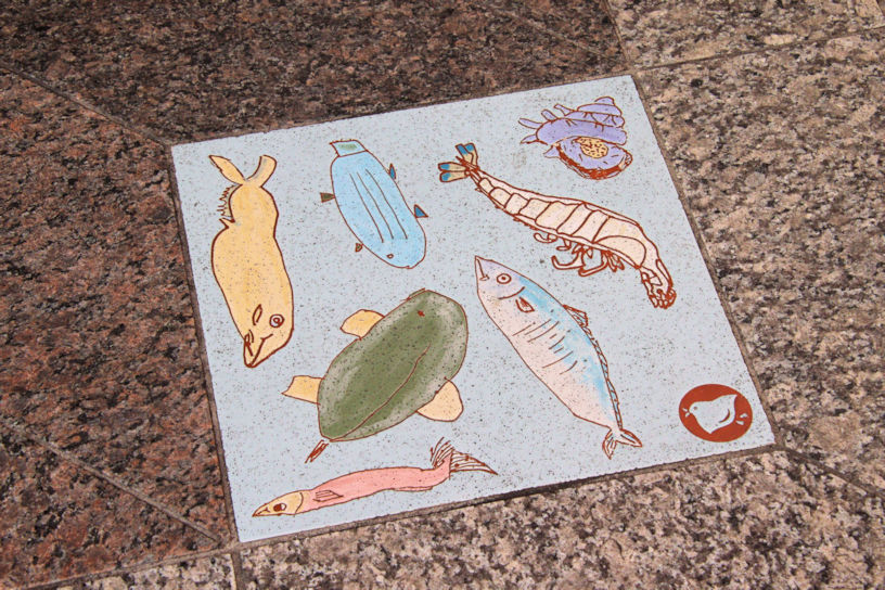 足元の石畳にはかわいい魚のイラスト。
