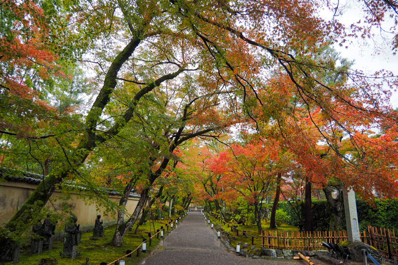 宝厳院 参道（撮影日：2023年11月17日）