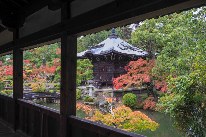 清凉寺 弁天堂まわり（撮影日：2023年11月17日）